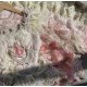 Mewroco Peacock Feather 2.0 JSK(Reservation/3 Colours/Full Payment Without Shipping)